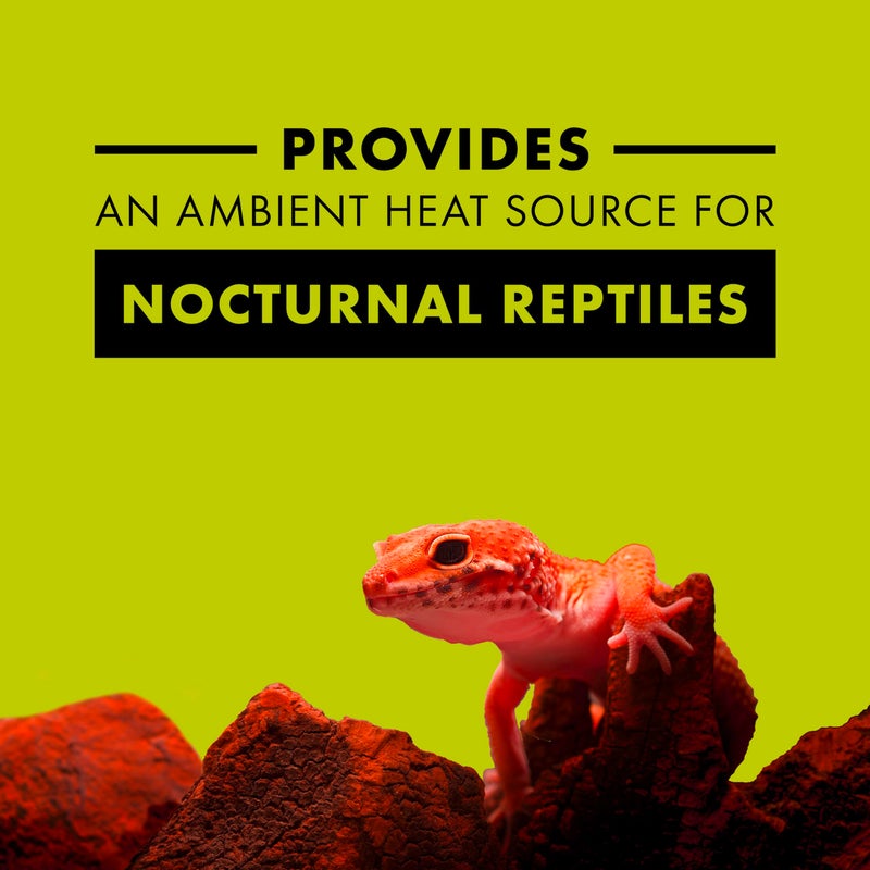 Zilla Incandescent Bulb, Night Red, Ideal for Nocturnal Reptile Species - Image 2